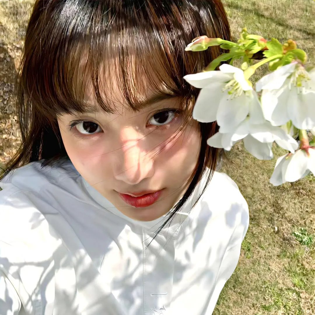 蒂科与鲨鱼